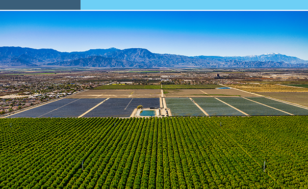 Dale and Palm Ranch For Sale